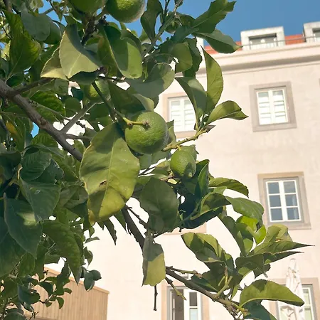 Ajuda Palace Apartamento